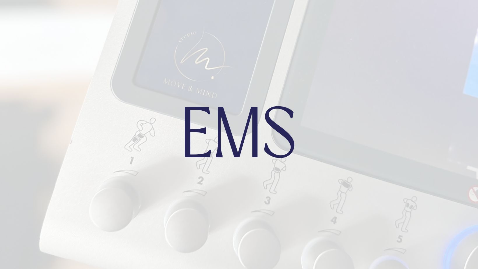 Przycisk przekierowujący do strony EMS
